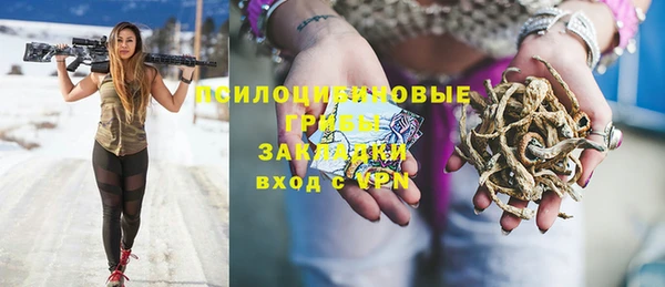 ПСИЛОЦИБИНОВЫЕ ГРИБЫ Алексеевка